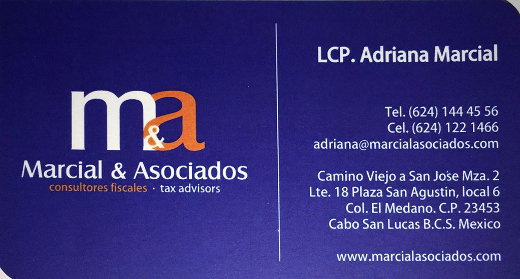 adriana-marcial-27-jan-15_bus-card